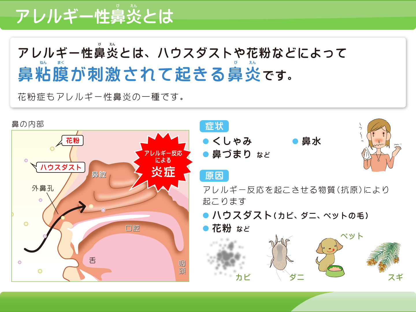 【画像】アレルギー性鼻炎について解説
